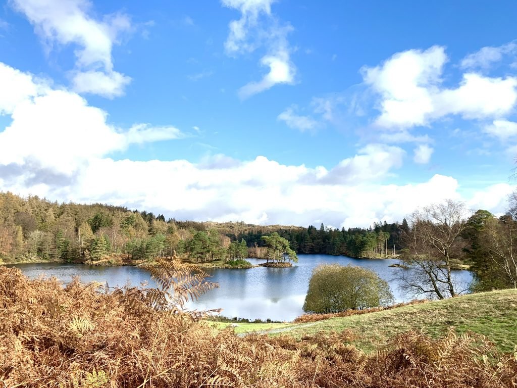 Tarn Hows in Summer