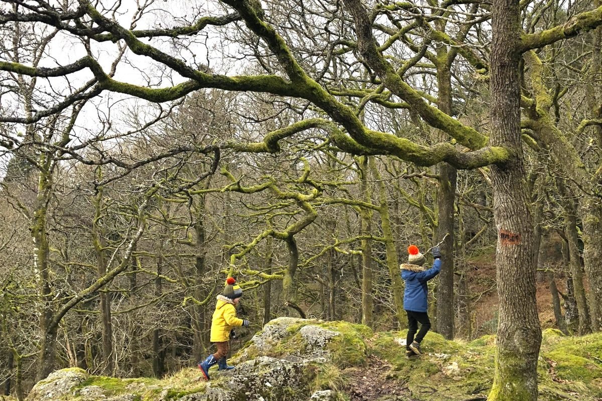 Two children climbing boulders in Skelghyll Woods. They are surrounded by trees.