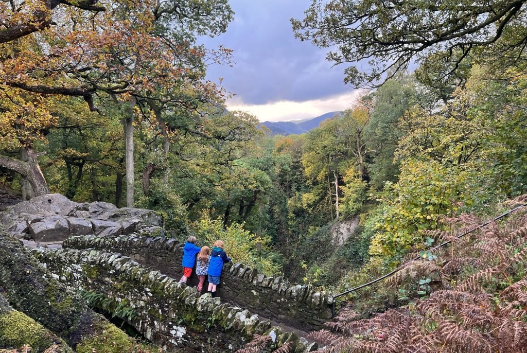 Three children looking out over the fells from the bridge above Aira Force