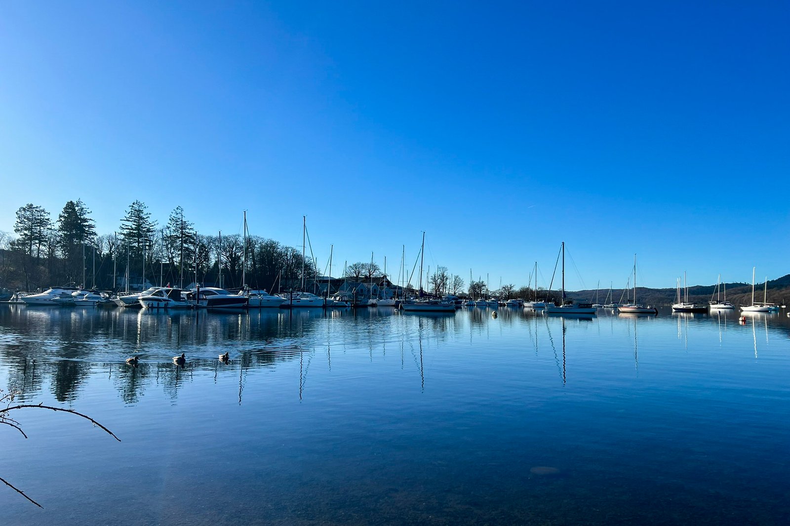 The boats at Ferry Nab on the Cockshott Point walk. The sky is clear and blue and the Lake Windermere is still and calm.